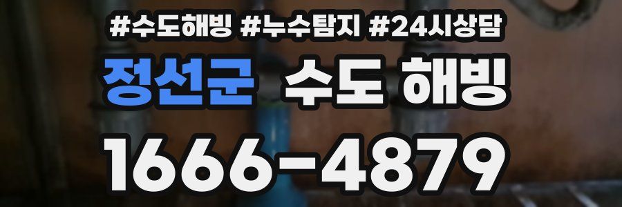 정선군 수도 해빙