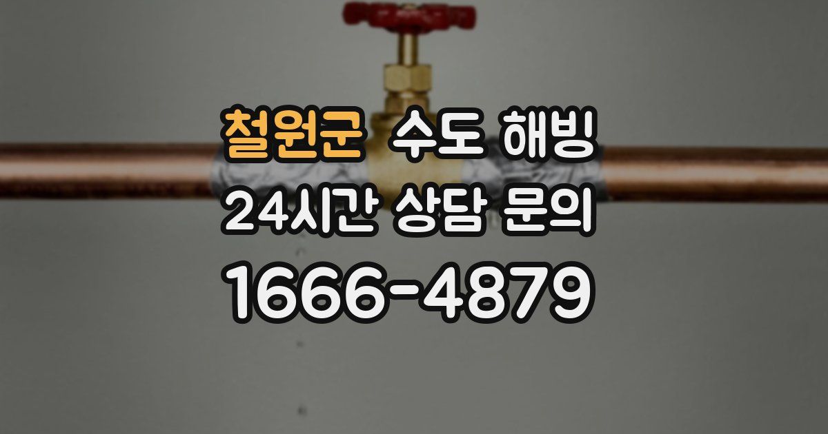 철원군 수도 해빙