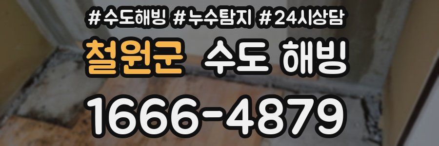 철원군 수도 해빙