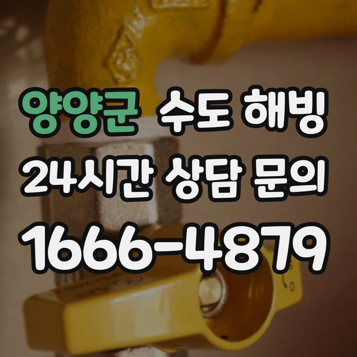 양양군 수도 해빙