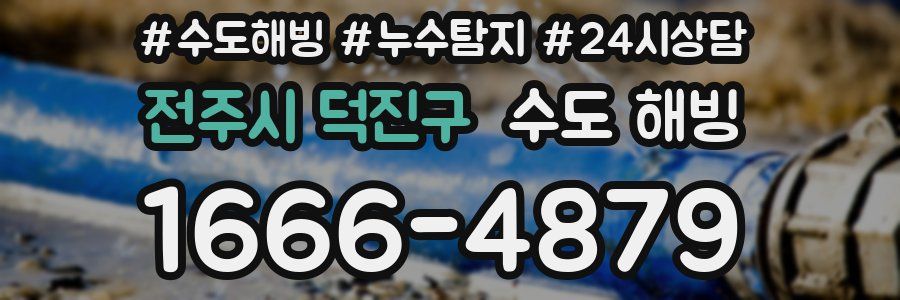 전주시 덕진구 수도 해빙