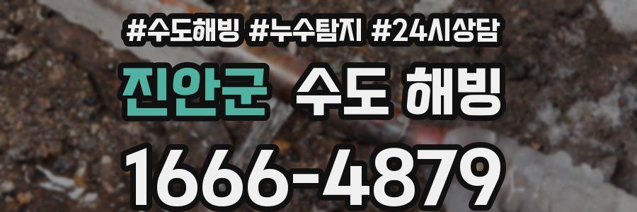 진안군 수도 해빙