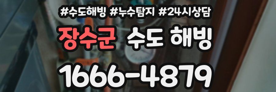 장수군 수도 해빙