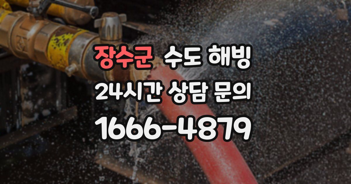 장수군 수도 해빙