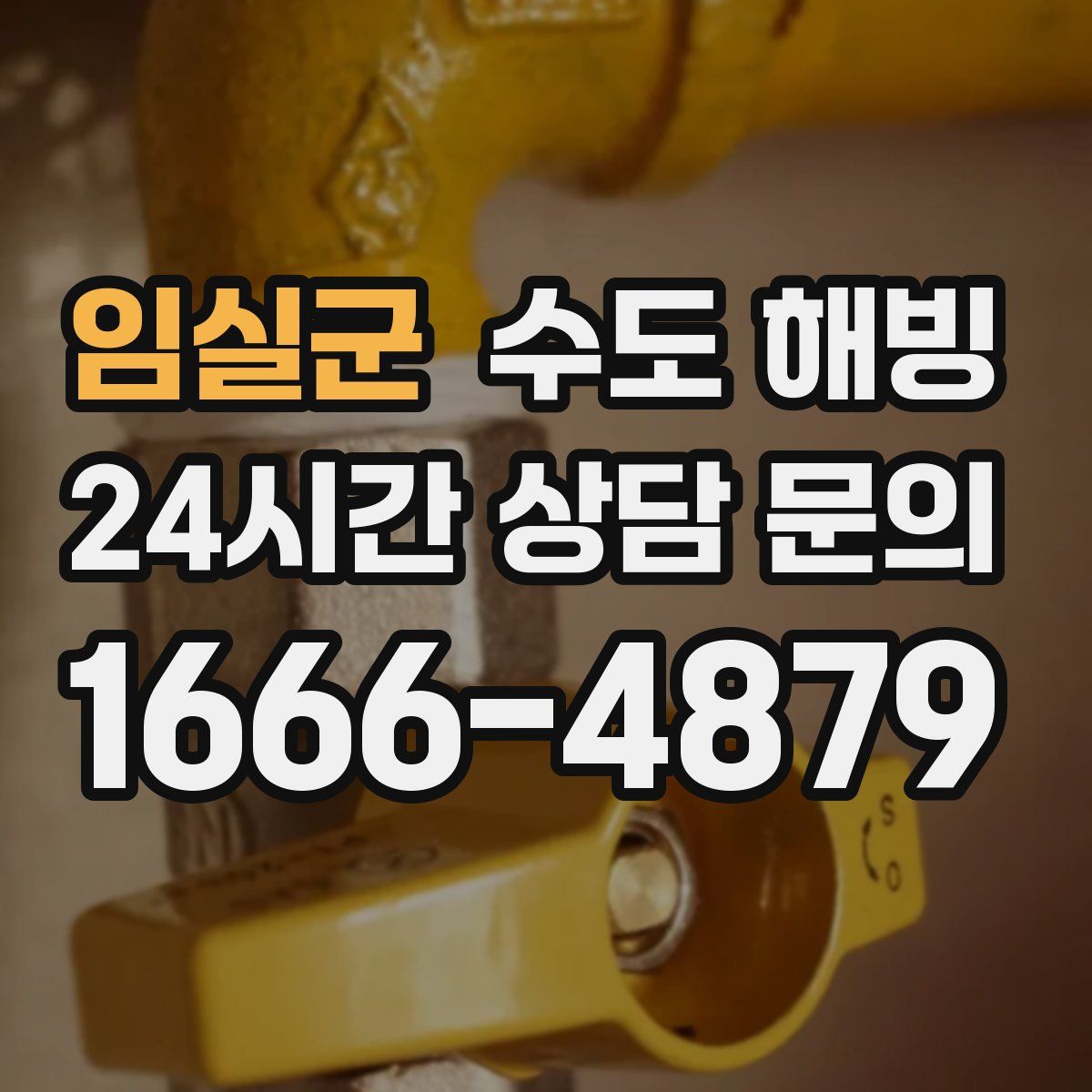 임실군 수도 해빙