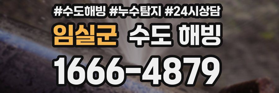 임실군 수도 해빙