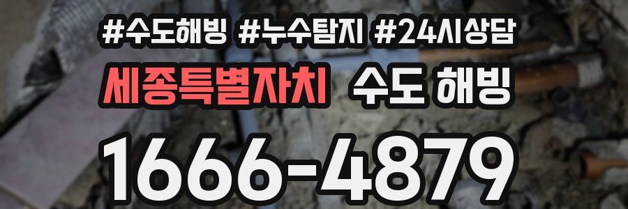 세종특별자치 수도 해빙