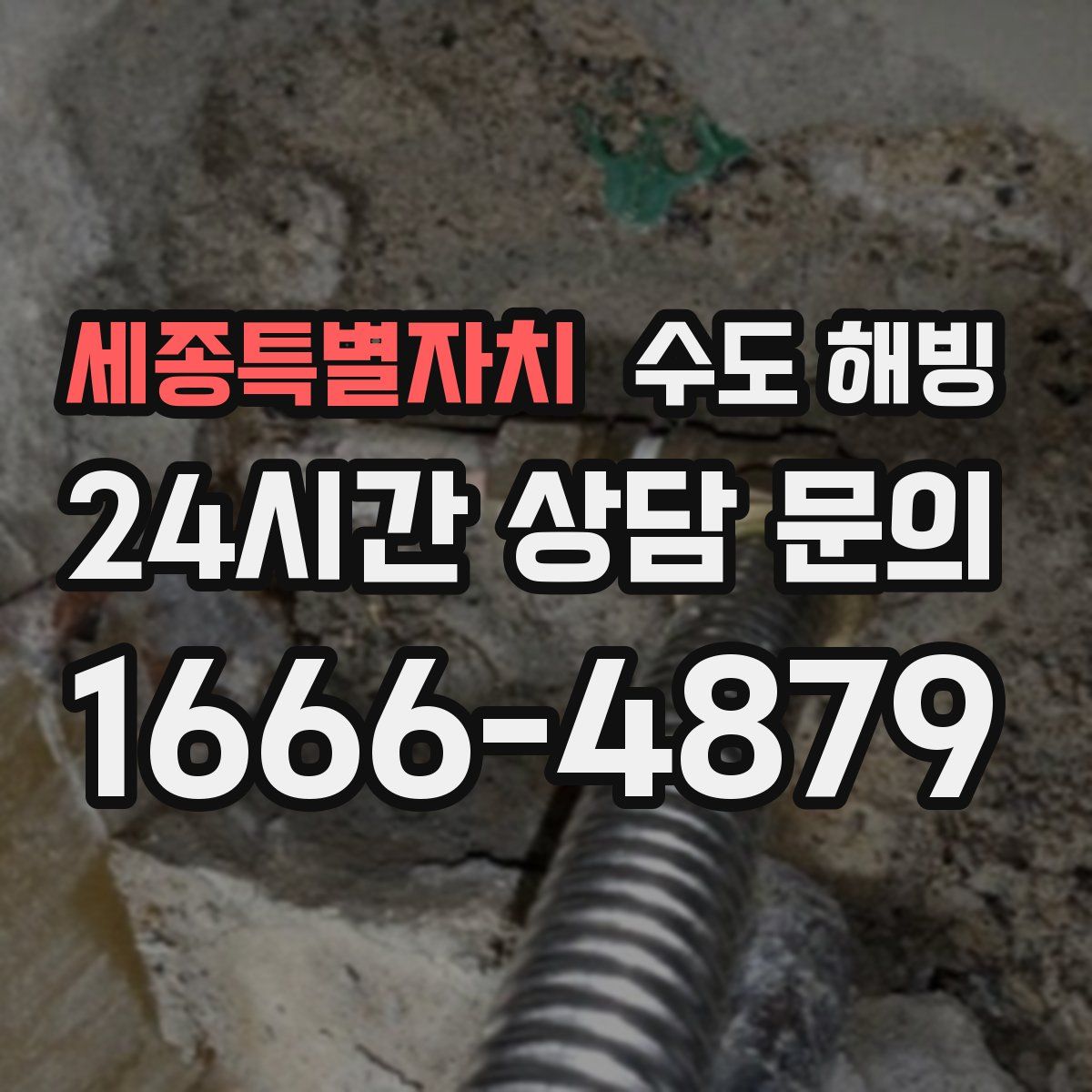 세종특별자치 수도 해빙