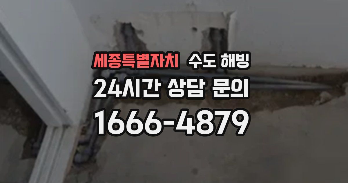 세종특별자치 수도 해빙