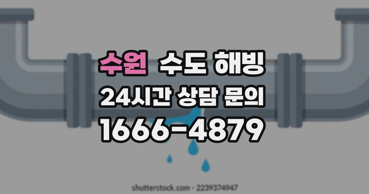 수원 수도 해빙