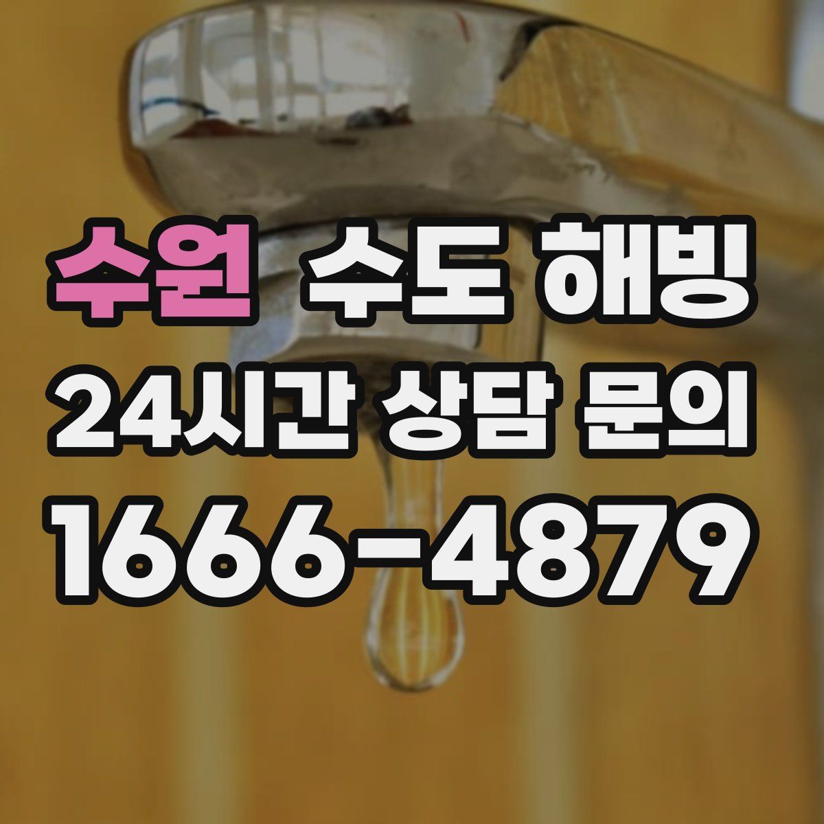 수원 수도 해빙