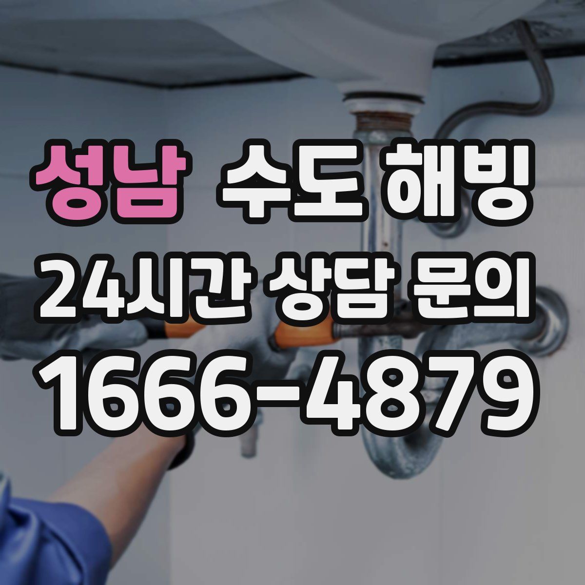 성남 수도 해빙