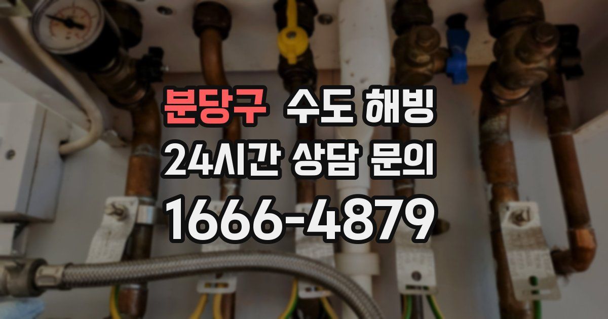 분당구 수도 해빙