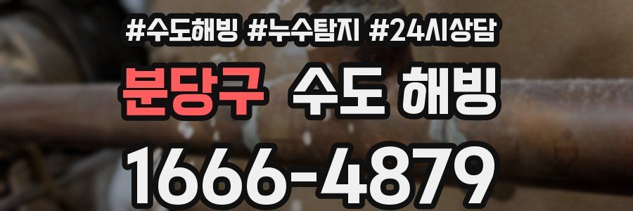 분당구 수도 해빙