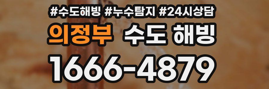 의정부 수도 해빙