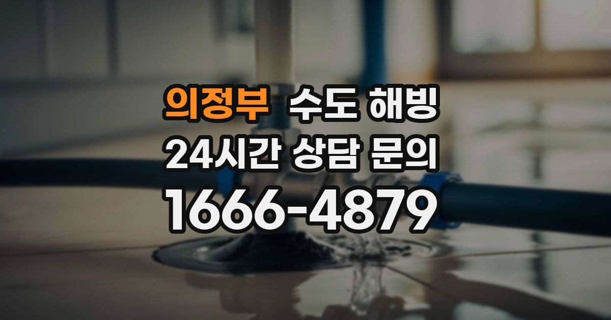 의정부 수도 해빙