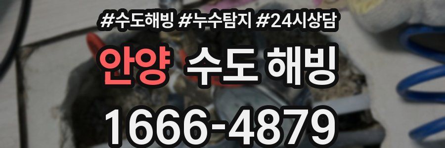 안양 수도 해빙