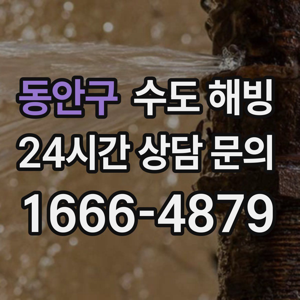 동안구 수도 해빙