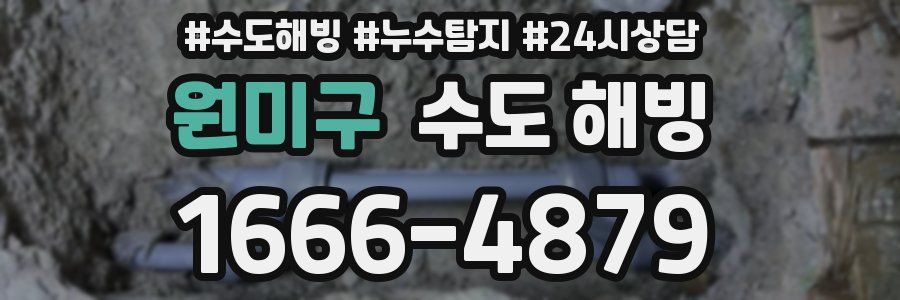 원미구 수도 해빙