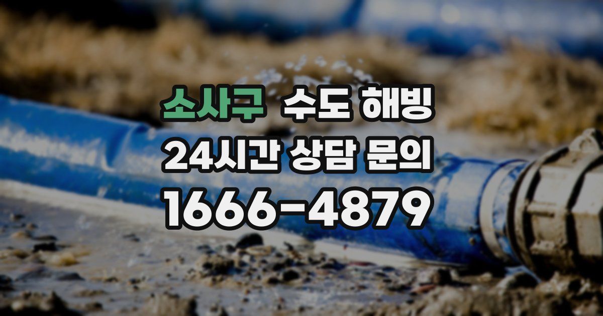소사구 수도 해빙