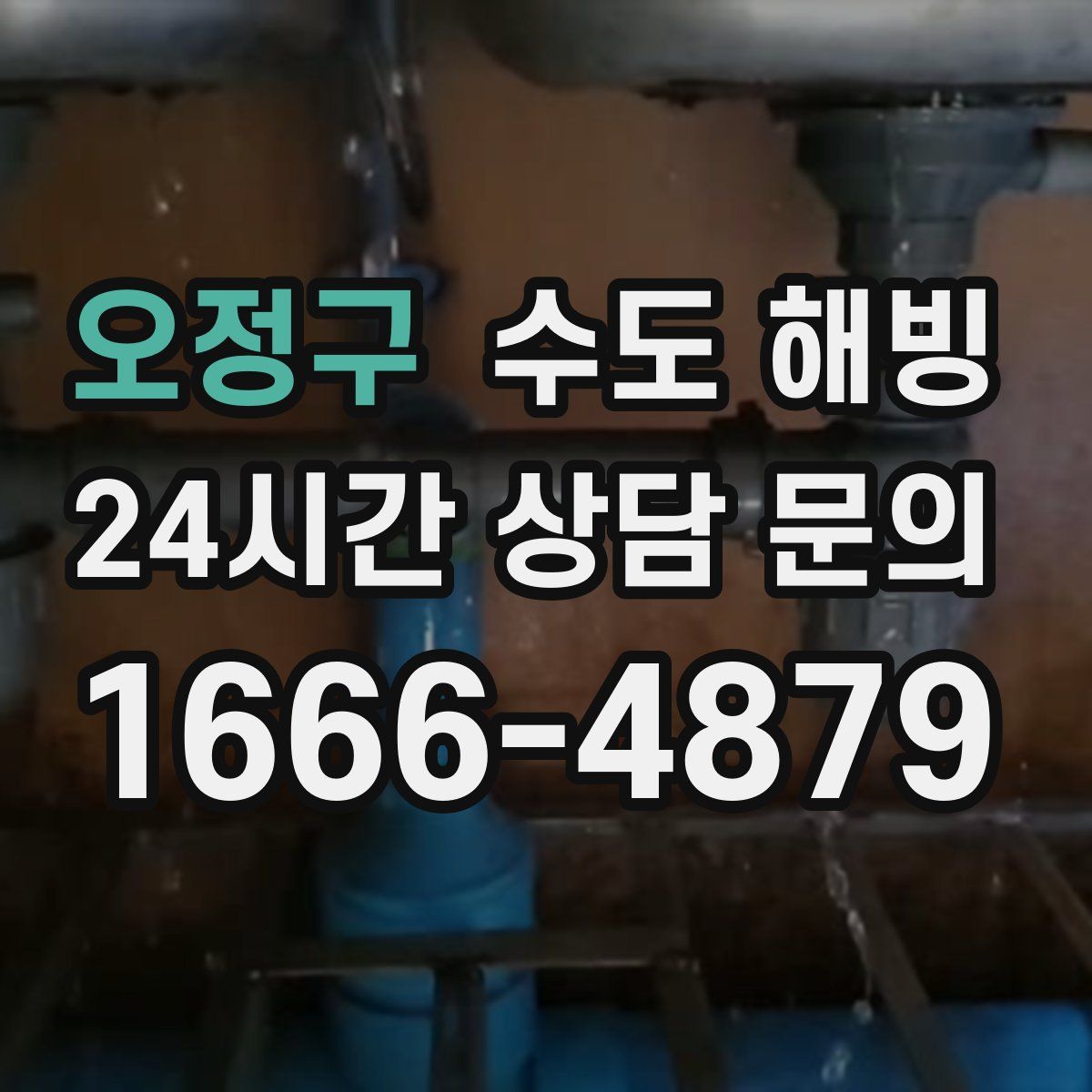 오정구 수도 해빙