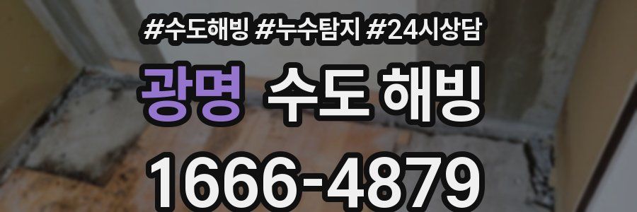 광명 수도 해빙