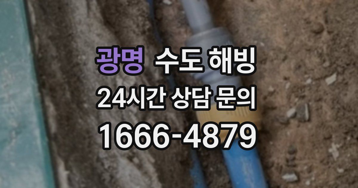 광명 수도 해빙