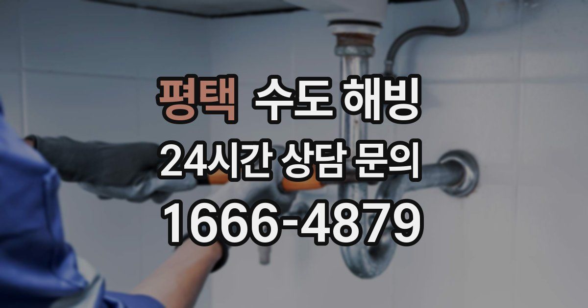 평택 수도 해빙