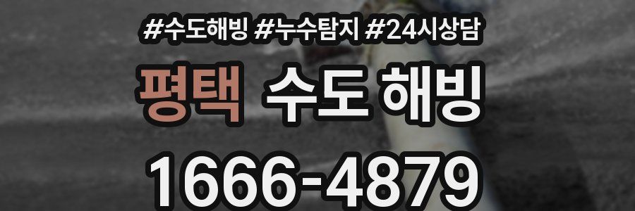 평택 수도 해빙