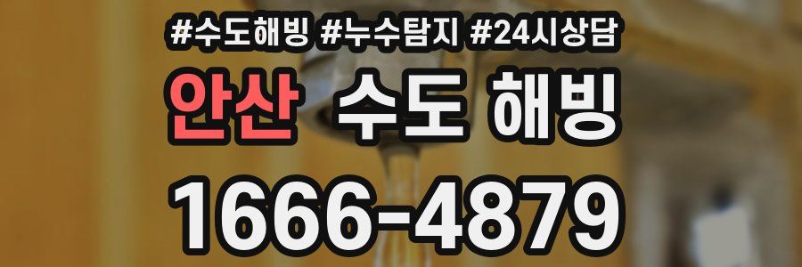 안산 수도 해빙