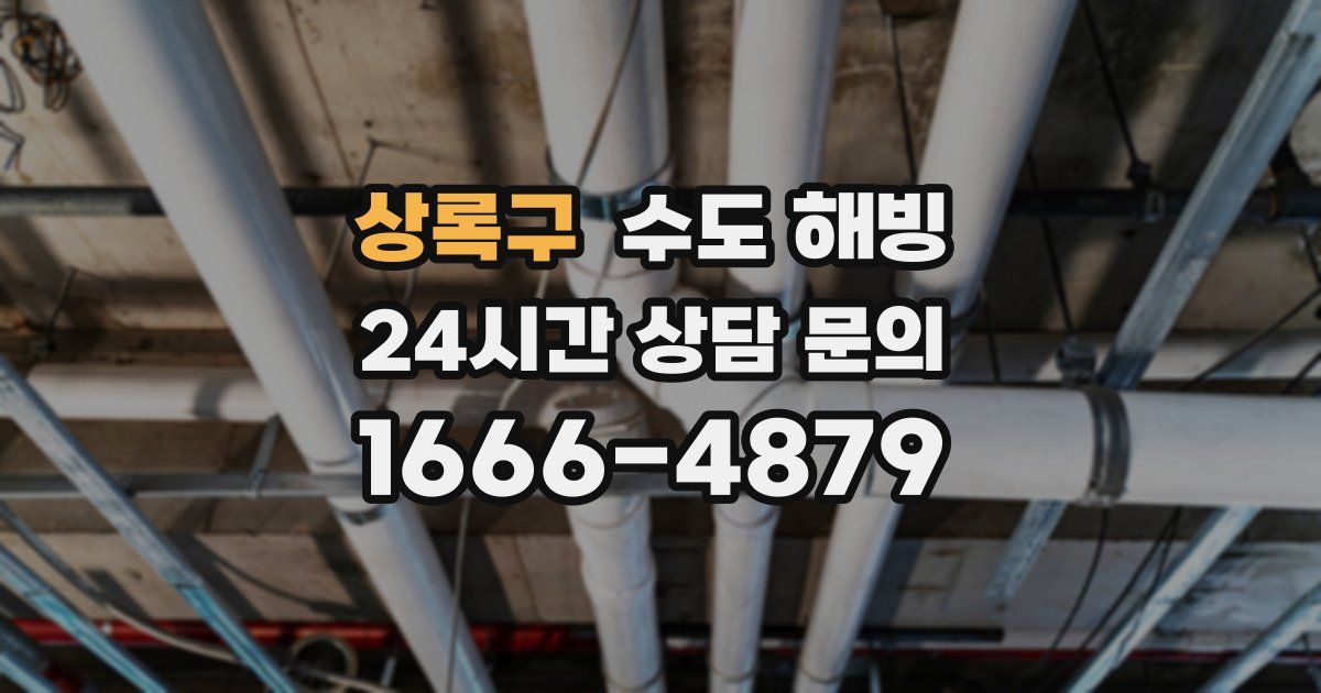 상록구 수도 해빙