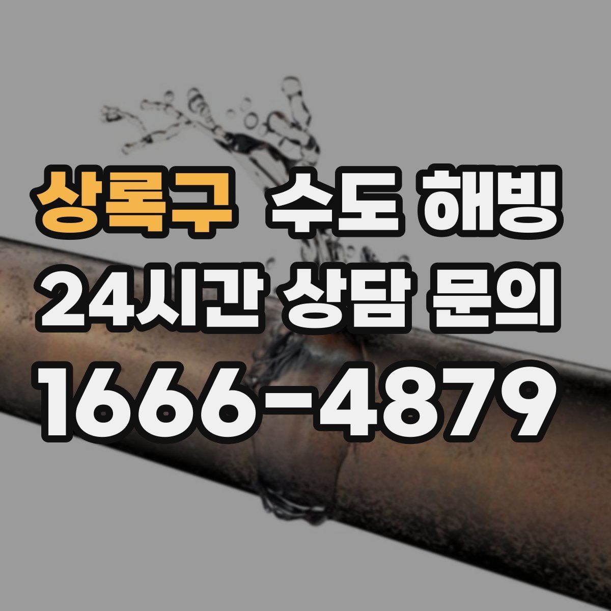 상록구 수도 해빙
