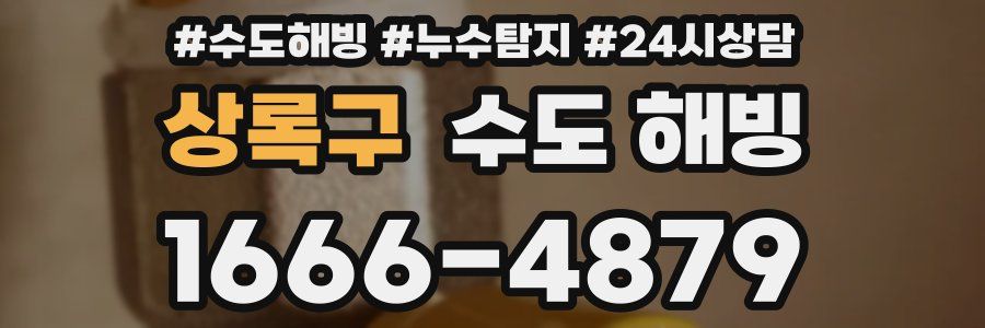 상록구 수도 해빙