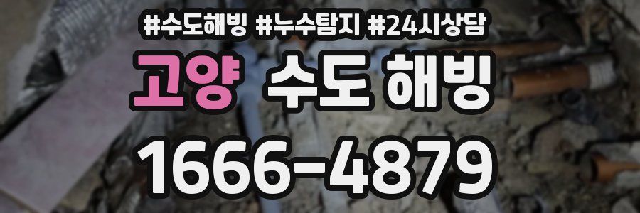 고양 수도 해빙