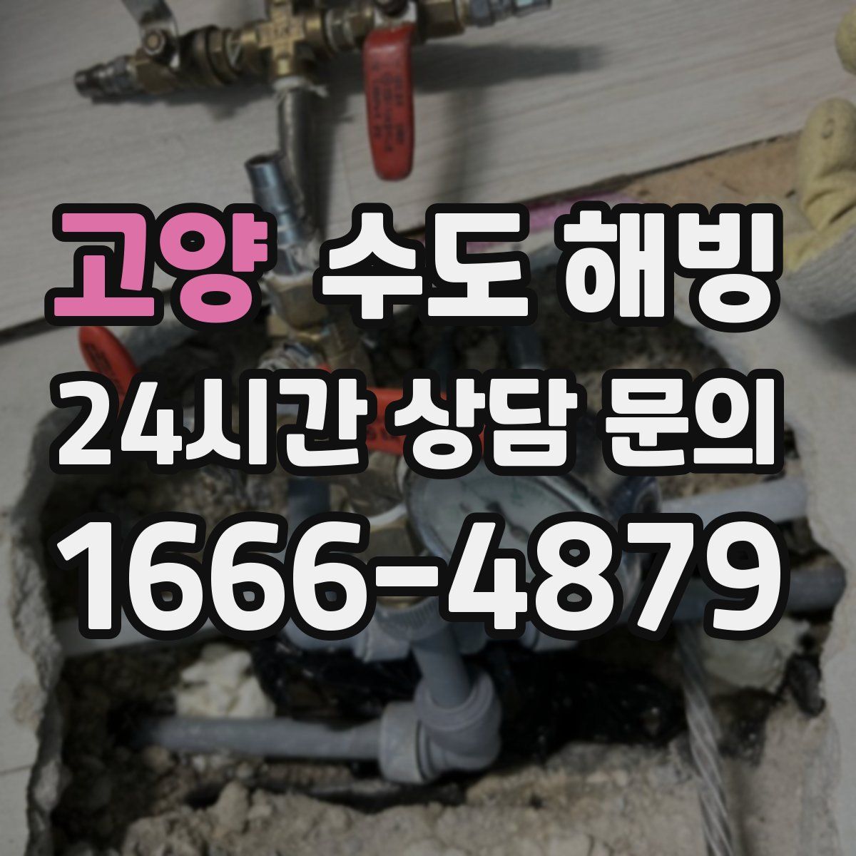 고양 수도 해빙