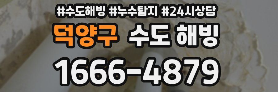 덕양구 수도 해빙