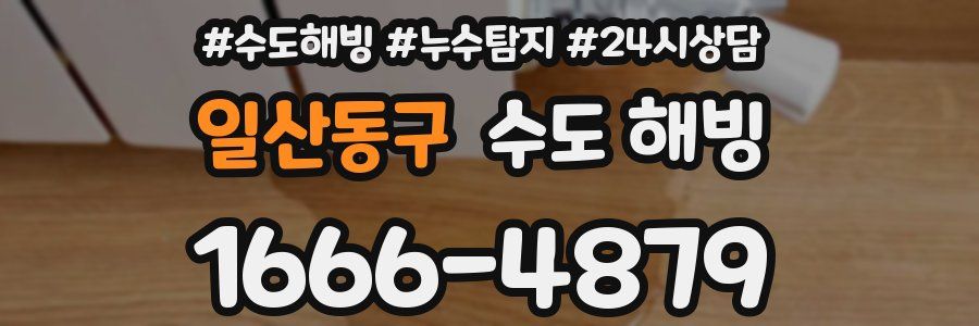 일산동구 수도 해빙