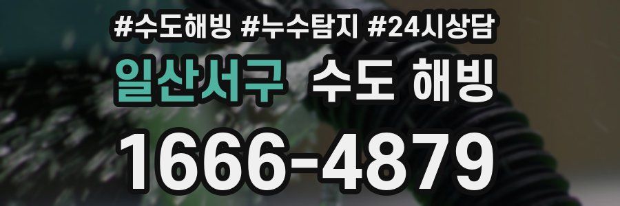 일산서구 수도 해빙