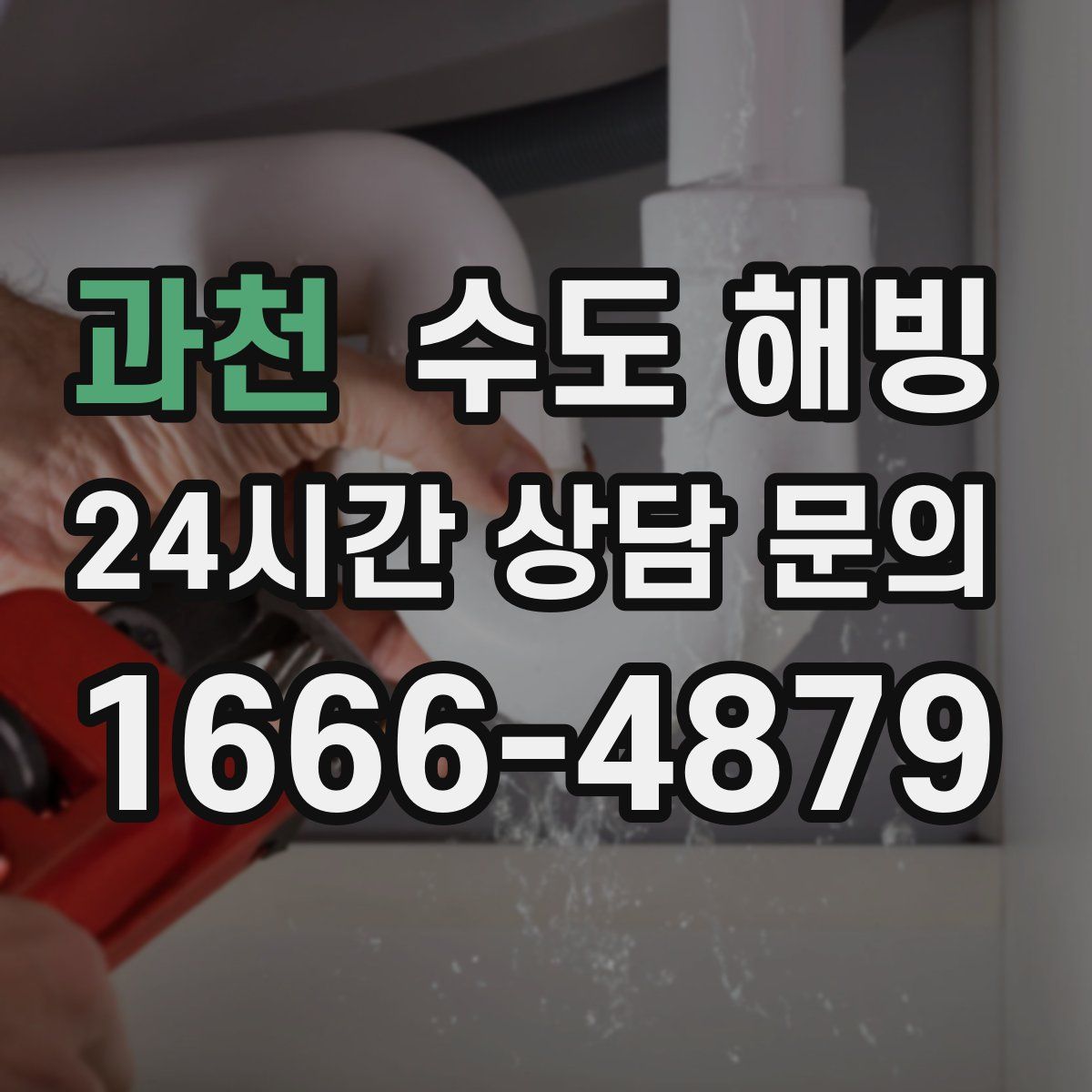 과천 수도 해빙