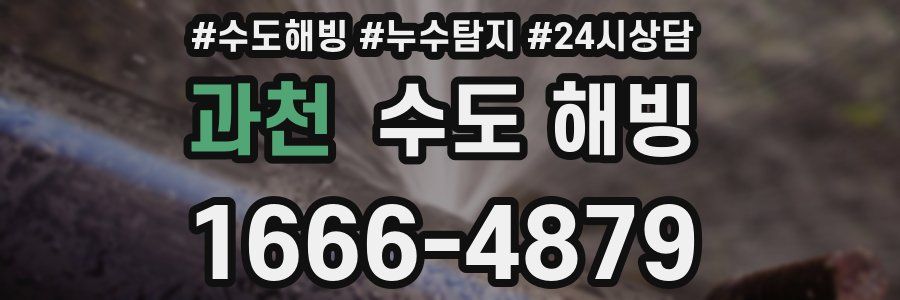 과천 수도 해빙