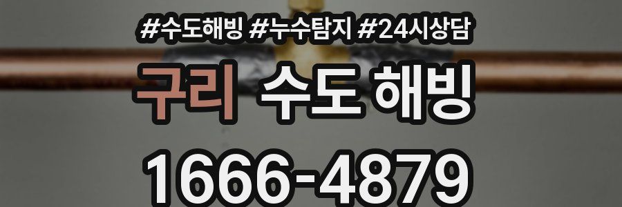 구리 수도 해빙