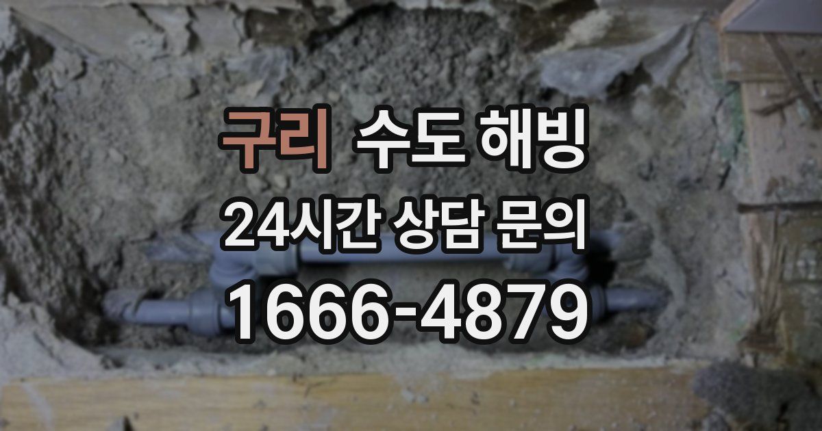 구리 수도 해빙