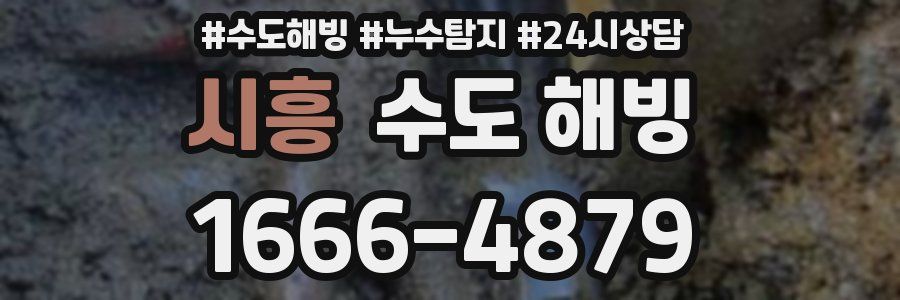 시흥 수도 해빙