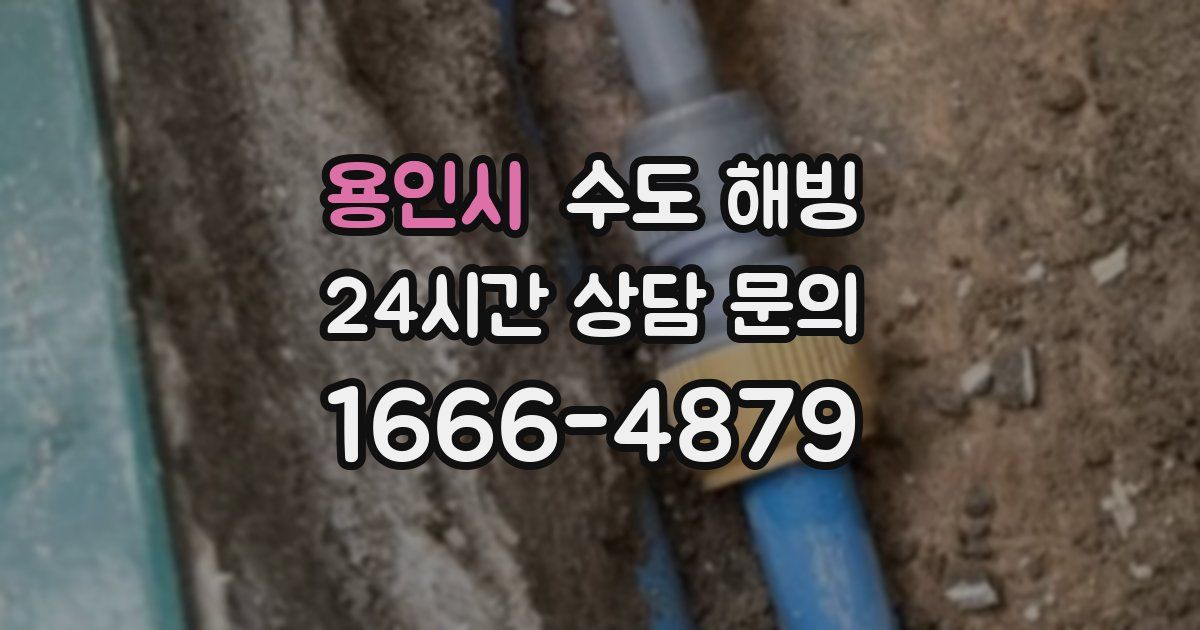 용인시 수도 해빙
