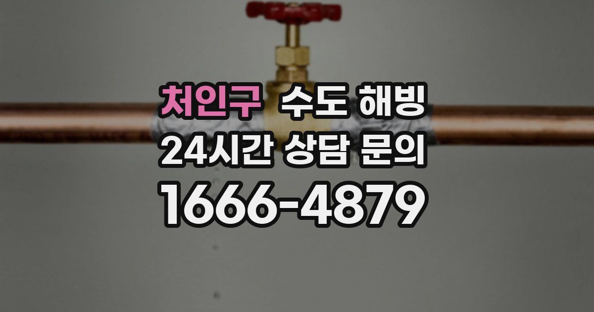 처인구 수도 해빙