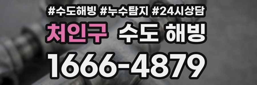 처인구 수도 해빙