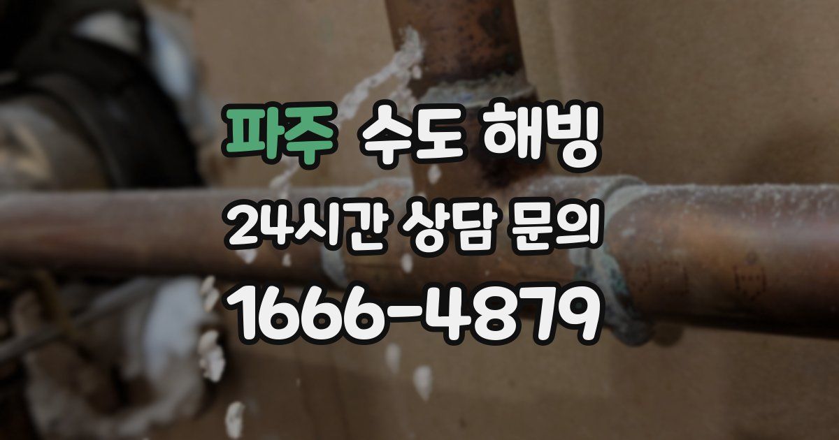 파주 수도 해빙