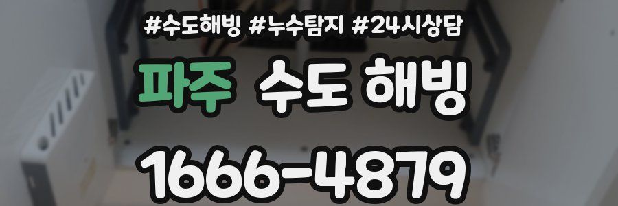 파주 수도 해빙