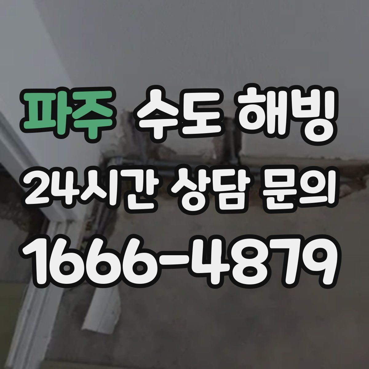 파주 수도 해빙