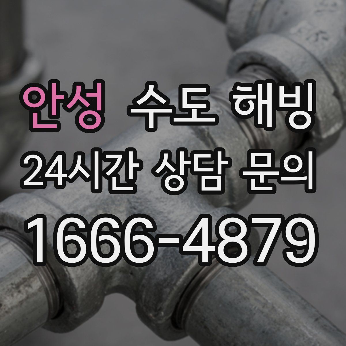 안성 수도 해빙